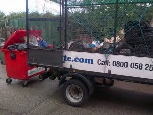 Waste Management