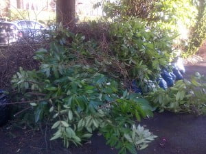 Garden Clearance Leeds